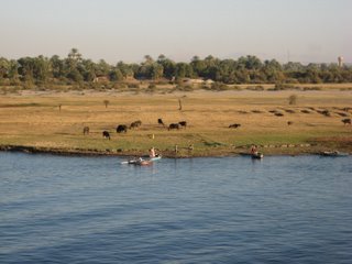 Nile Cruises - River Nile